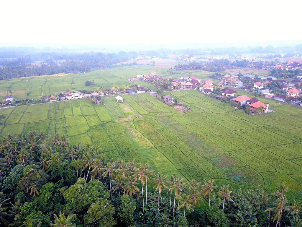 Pangkung Sari Hotel Ubud Buitenkant foto